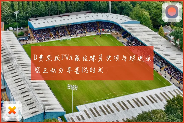 B费荣获FWA最佳球员奖项与球迷亲密互动分享喜悦时刻